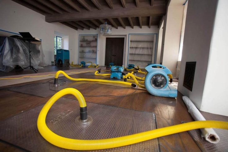 Mold Removal vs Water Damage Restoration