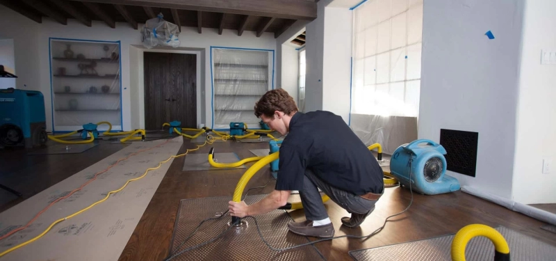 Mold Removal vs Water Damage Restoration