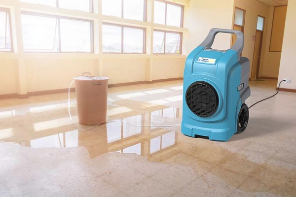 How Much Does Water Damage Restoration Cost?