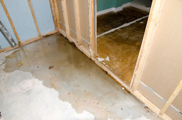 How to Tell if Water Damage Is New or Old