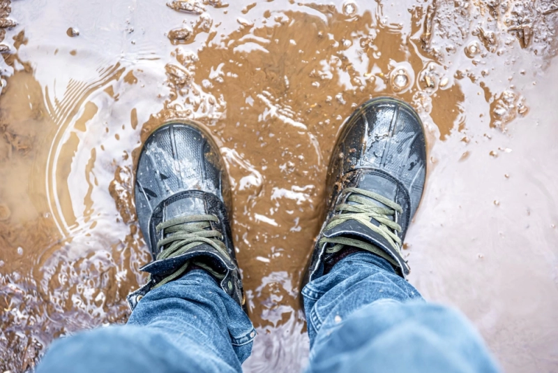 Why Standing Water Creates Health and Safety Risks