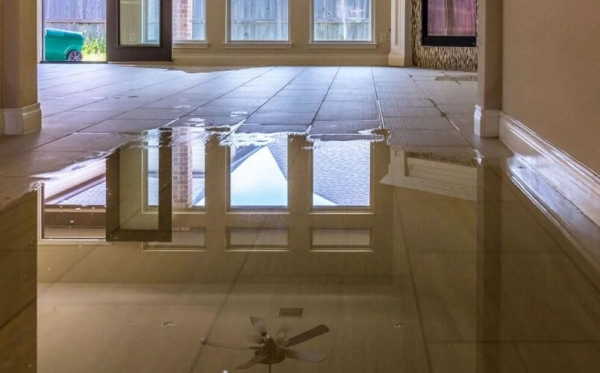 Leaving Water Damage Untreated