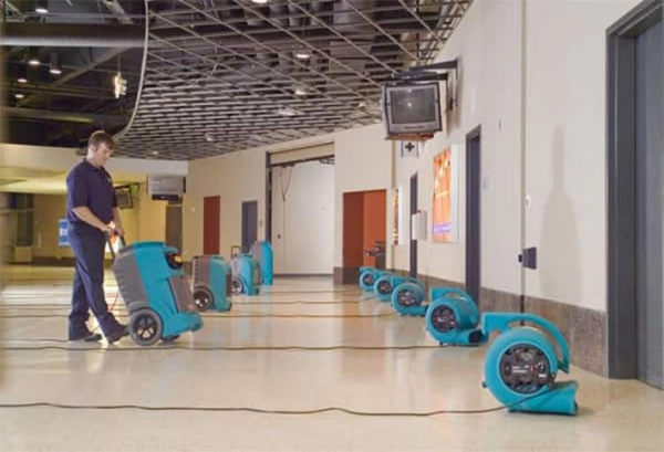 Sewage Damage Restoration